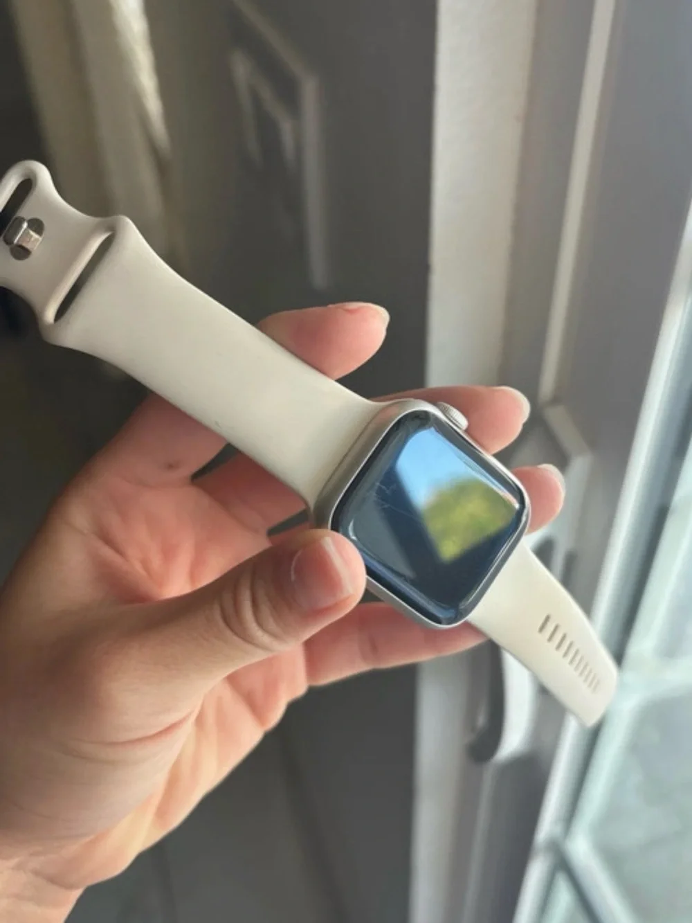 Apple watch series
